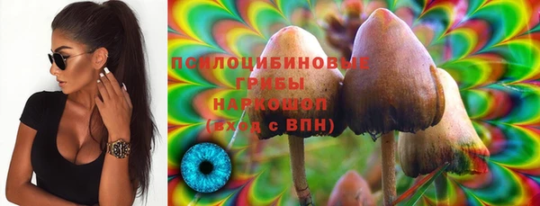 соль ск Алапаевск
