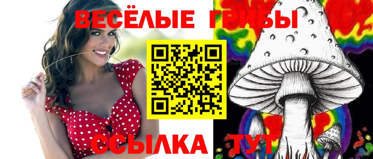 Галлюциногенные грибы прущие грибы  Вход с VPN  купить  сайты  Комсомольск-на-Амуре 
