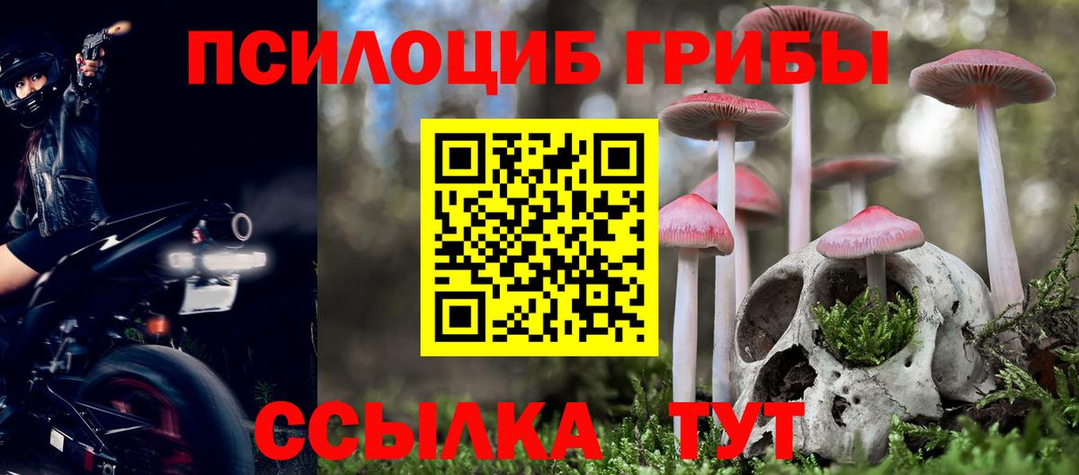 Галлюциногенные грибы Psilocybe Комсомольск-на-Амуре